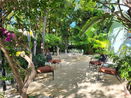 miamire/7cec85c2353ff9292d5748202f7f5b52.jpg?width=131&height=105&format3=webp