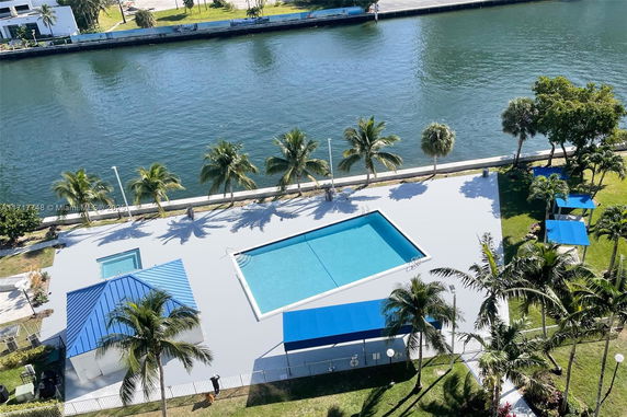 A rooftop swimming pool overlooking a waterway with palm trees nearby.