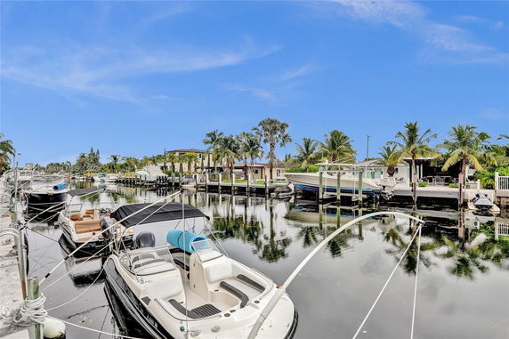 View of boats docked along a waterfront with palm trees and houses in the background.