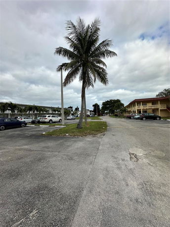 Outdoor parking area with multiple cars parked and a palm tree.