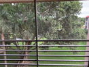 miamire/7e1c66ef46e97122a9b7cbafdb15f9e1.jpg?width=131&height=105&format3=webp
