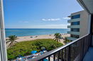 miamire/7f768142987fae07dbd26157c4a35ff9.jpg?width=131&height=105&format3=webp