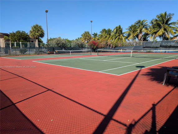 Outdoor tennis court with surrounding palm trees.