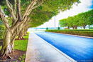 miamire/7fd45b10bc6d9170faa728146c43fdf9.jpg?width=131&height=105&format3=webp