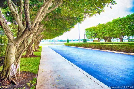 View of a tree-lined pathway adjacent to a blue paved road.