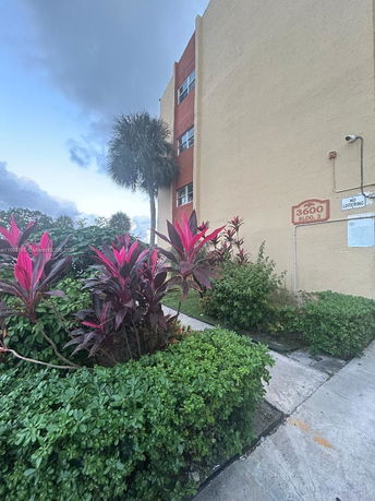 Side view of a three-story building with adjacent shrubbery and a palm tree.