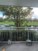 miamire/829049a0557e197ae68445b8eedac26e.jpg?width=131&height=105&format3=webp