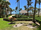 miamire/82e9d210854a2de76bf4d24c00301c01.jpg?width=131&height=105&format3=webp