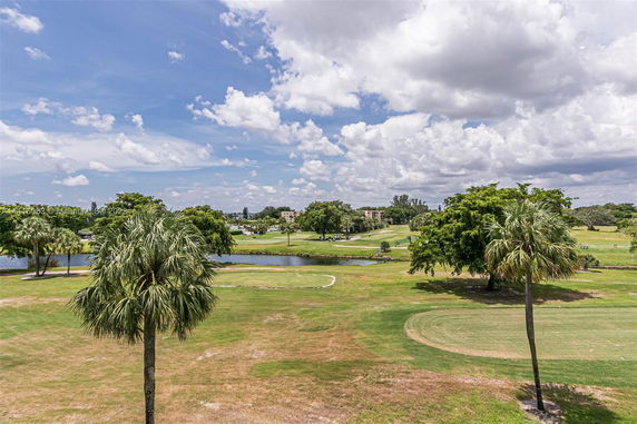 Scenic outdoor view with grass, palm trees, water, and distant buildings.