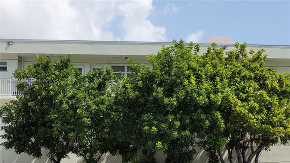 Front view of a building with trees partially obscuring the facade.