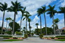 miamire/840d42467503fbf59e0977880dc10f7d.jpg?width=131&height=105&format3=webp