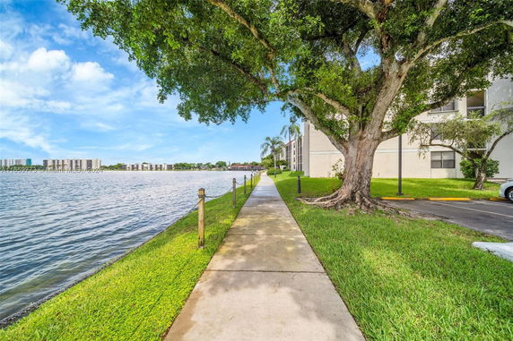 Sidewalk by a lake with residential buildings and large tree.