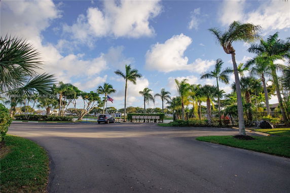 Outdoor parking area with palm trees and a vehicle.