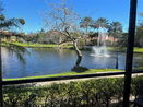 miamire/85c5f0f56ec67a73e9192faaee7e36a5.jpg?width=131&height=105&format3=webp
