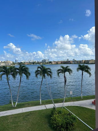 Wide angle view of water and distant buildings with palm trees in the foreground.