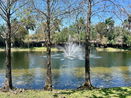 miamire/86749c19a16f23ae2586af1b22ac37c4.jpg?width=131&height=105&format3=webp