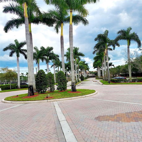 Paved road lined with tall palm trees and landscaped areas