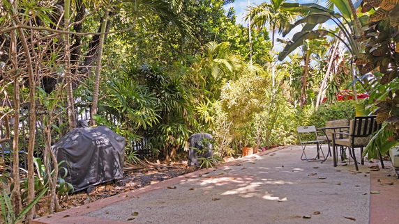 Outdoor patio area with chairs and abundant greenery.