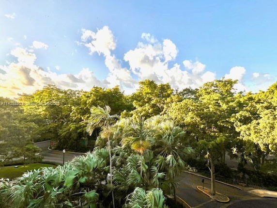 View of lush green trees and a curved road beneath a clear blue sky.