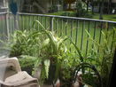 miamire/881503fb9d16dac25f594c6bd6a1123a.jpg?width=131&height=105&format3=webp