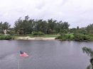 miamire/882215c03dedfe35f223364876cddad2.jpg?width=131&height=105&format3=webp