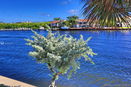 miamire/8873df6f536e08f26990d0e787a08e1f.jpg?width=131&height=105&format3=webp