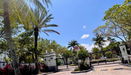 miamire/8910cb5fc0b5ade38b3868cca07df33d.jpg?width=131&height=105&format3=webp