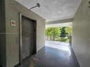 miamire/89ec4321bcb1c3218be4ed078208fa51.jpg?width=131&height=105&format3=webp