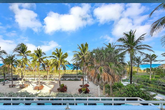 Panoramic view of a tropical area with palm trees and a beach visible in the background.