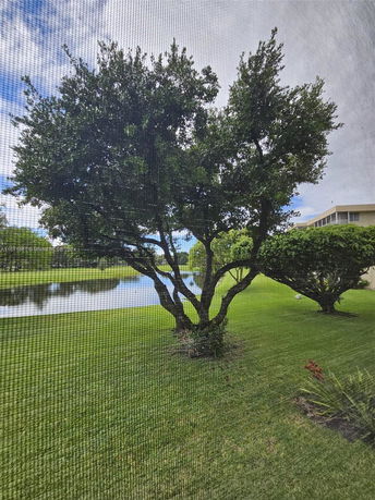 View of a tree and a small body of water seen from a building.