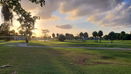 miamire/8c22a500676ff8f881600524ccc6b450.jpg?width=131&height=105&format3=webp