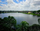 miamire/8dbc76dea30310bd1cd2f757bcc71c44.jpg?width=131&height=105&format3=webp