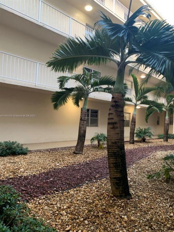 View of a multi-story building exterior with a rock garden and palm trees.