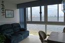 miamire/8eda30276666863ce0c9406f048e9cff.jpg?width=131&height=105&format3=webp