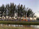 miamire/8ee6019fe23e87c1c7e5cce42483c846.jpg?width=131&height=105&format3=webp