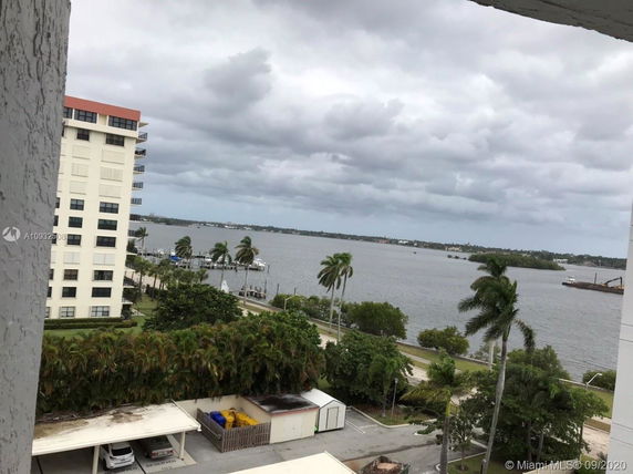 View from a building showing a large body of water, palm trees, and nearby buildings.