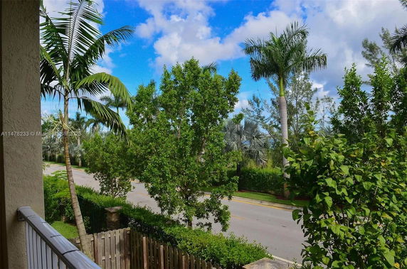View from a building showing lush green trees and a road.