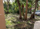 miamire/904bd754804e587796636ee2f30a3626.jpg?width=131&height=105&format3=webp