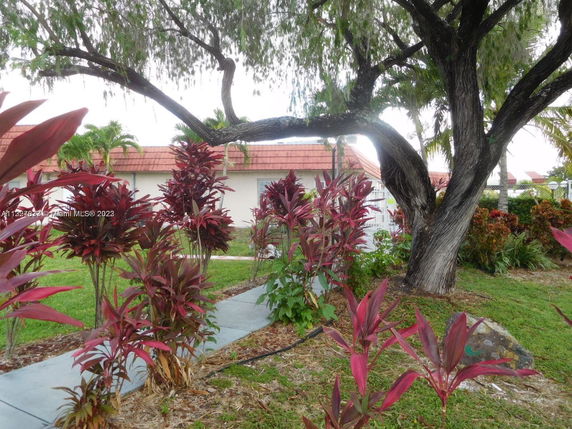 View of a building partially obscured by trees and plants in the surrounding area.