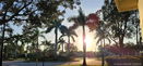 miamire/917a524603760e9d93352e70fe5e5e78.jpg?width=131&height=105&format3=webp