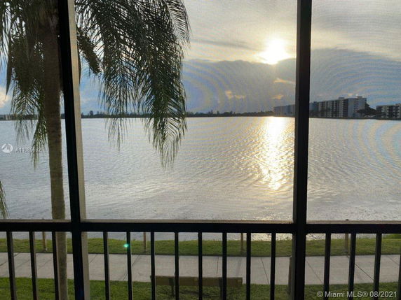 Panoramic view of a waterfront with buildings in the background and a palm tree in the foreground.