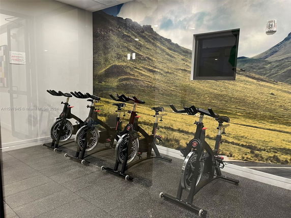 Indoor area with exercise cycling machines against a scenic mural backdrop.