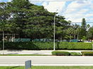 miamire/933265de32bac1bf2f96fb475e23cd11.jpg?width=131&height=105&format3=webp
