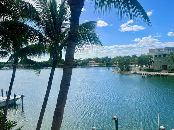 View of a waterfront area with palm trees and buildings in the background.