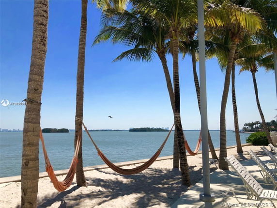 Beachfront area with hammocks tied to palm trees, overlooking a body of water.