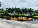 miamire/94ad43267a78a5945a8e50703f02660c.jpg?width=131&height=105&format3=webp