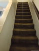 miamire/950b0d6573000ce402b26fd6b6f836ac.jpg?width=131&height=105&format3=webp