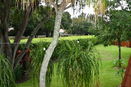 miamire/959b5bd3a8bb9a60d7974433372db6c0.jpg?width=131&height=105&format3=webp