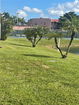 miamire/959e50c7f0a016a4c70f6c725946bcf8.jpg?width=131&height=105&format3=webp