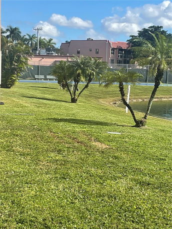 View of a grassy area with palm trees and buildings in the background.